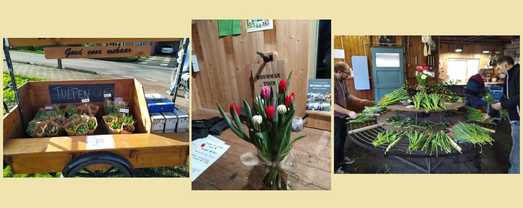 foto compilatie