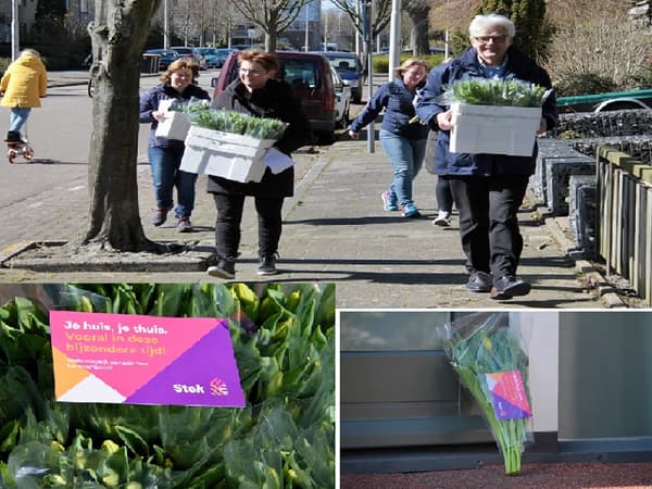 compilatie stek